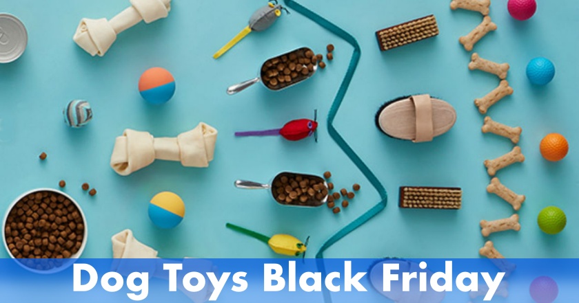 Dog Toys Black Friday Deals, Dog Toys Black Friday, Dog Toys Black Friday Sale