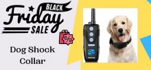 14+ Best Dog Shock Collar Black Friday 2021 Deals & Cyber Monday